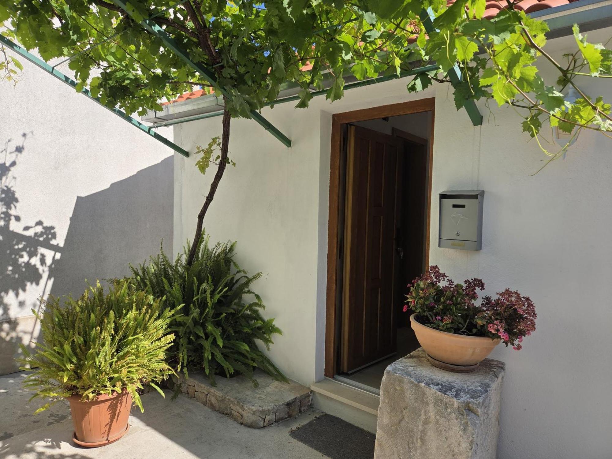 Apartments Jelena Supetar - Four Apartments - A Small House With A Private Yard - Two-Room Apartment With A Sea View - Studio Apartment - Two-Room Apartment With Garden View- Free Parking Exterior photo